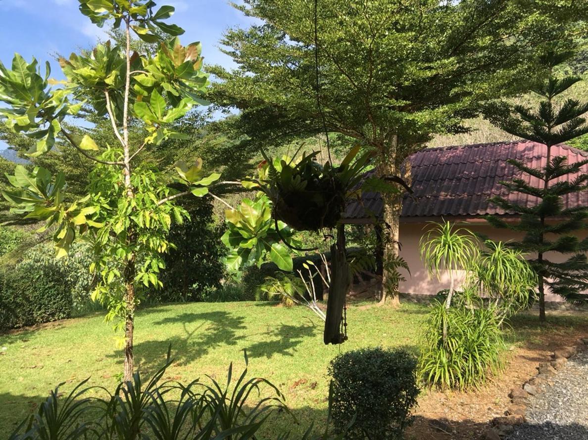 Khao Sok Hill Top Resort Khao Sok National Park Eksteriør billede