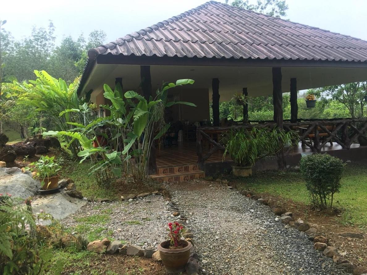 Khao Sok Hill Top Resort Khao Sok National Park Eksteriør billede